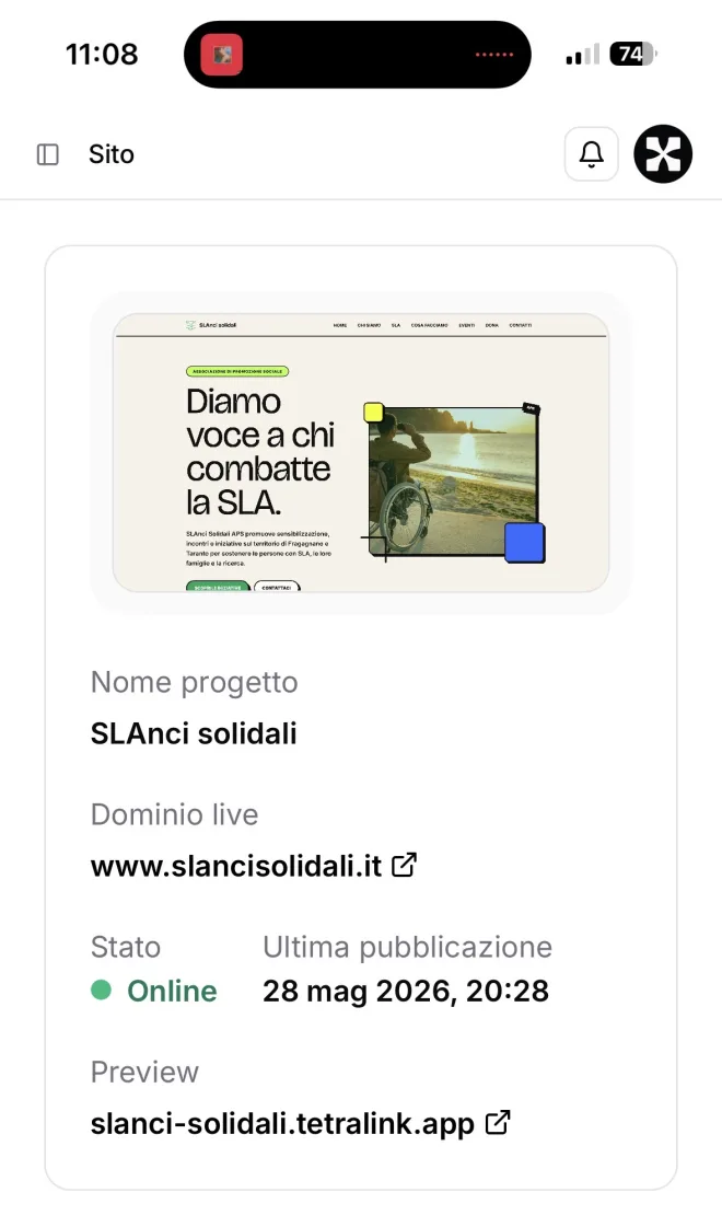 Visualizza le statistiche del tuo sito